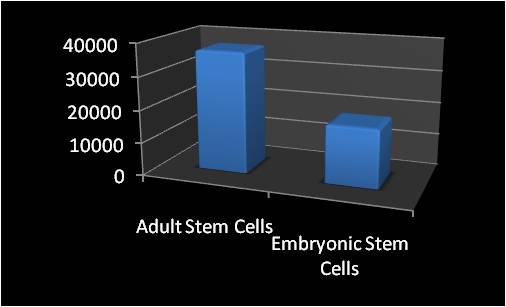 stem cell research and ethics paper stem cell research and ethics paper