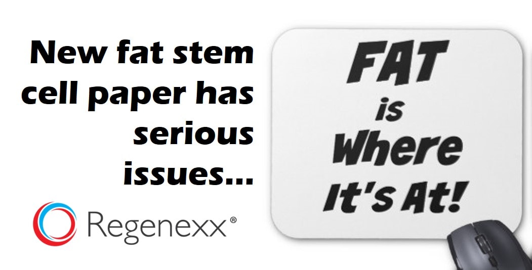 Thesis Statement For Stem Cell Research