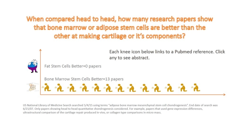 stem cell research persuasive essay stem cell research persuasive essay
