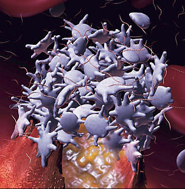 cellular_platelets cellular_platelets