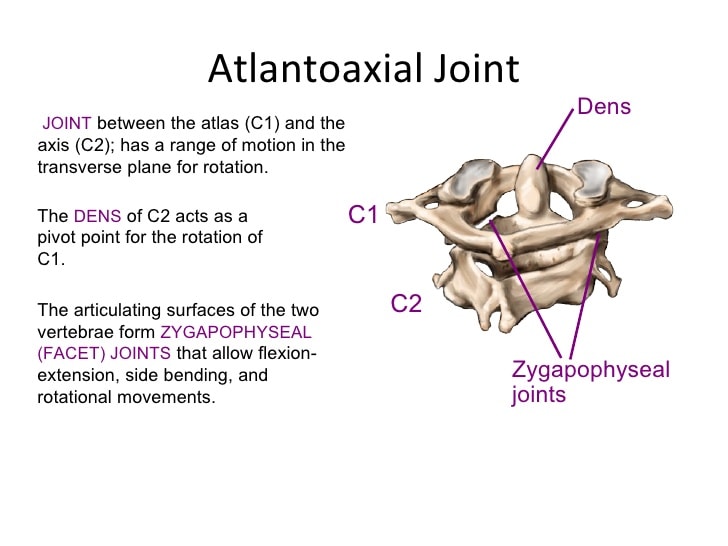atlantoaxial joint