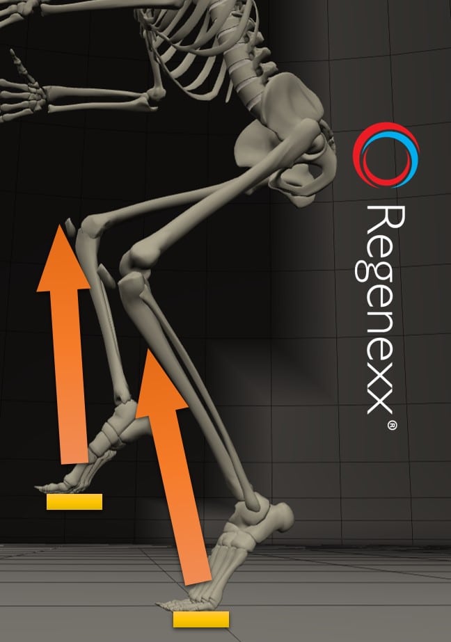 clip in pedal biomechanics