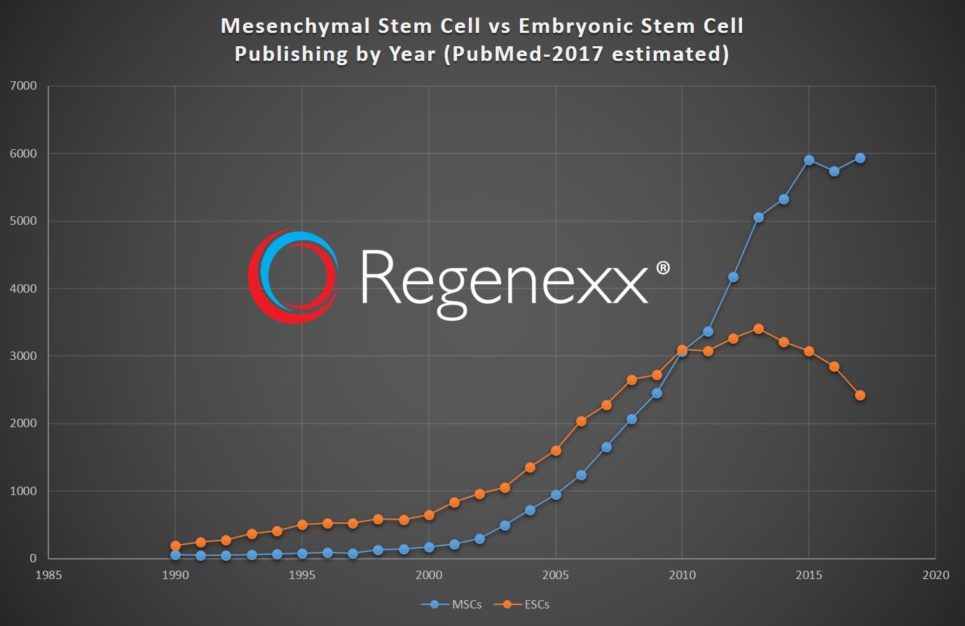embryonic stem cell research essay embryonic stem cell research essay