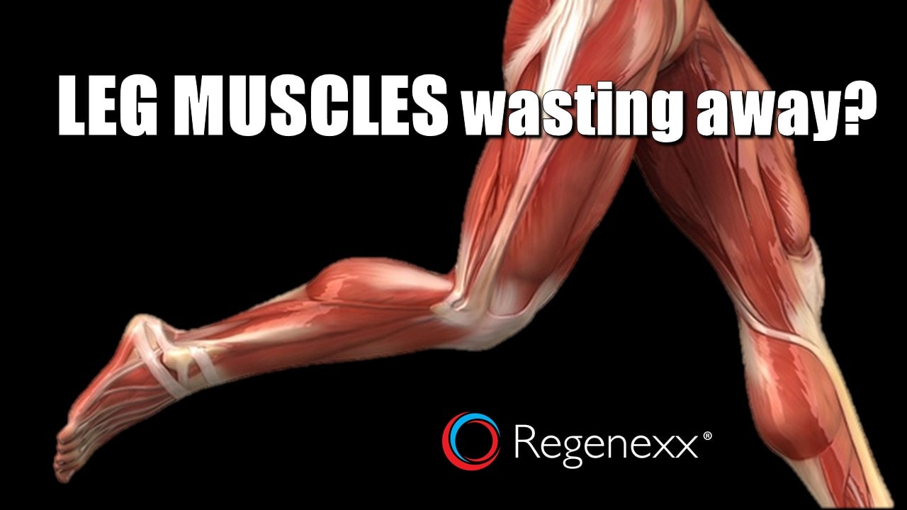 How to restore muscle 73 How to restore muscle 96